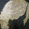 Diane Alvarez - @diane.alvarez0 - TikTok