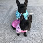 Diane Andersen - @andersend180 - Instagram