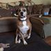 Diane Andersen - Facebook