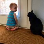 Diane Arnett Hughes - @dianescatslife - Instagram