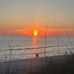 Diane Atkinson - Facebook