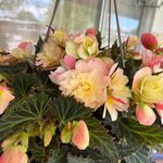 Diane Atkinson - @ldianeatkinson - Instagram