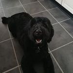 Diane Atkinson - @diane.atkinson.10485 - Instagram