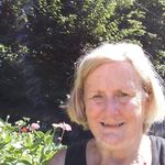 Diane Austin - @diane.austin.167 - Instagram