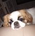Diane Austin - Facebook