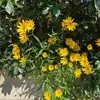 Dianne Austin - @dianne.austin2 - TikTok
