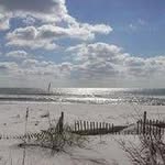 Diane Ramsey Ayres - @diane_ramsey21 - Instagram