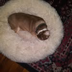 Diane Babb - @dbabb2465 - Instagram