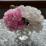 Diane Baer Dauk - @dianedauk - Instagram