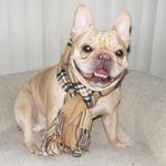 Diane Ballard - @dballard1979 - Instagram