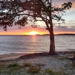 Diane Ballard - Facebook