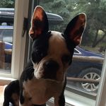 Diane Ballard - @diane_ballard - Instagram