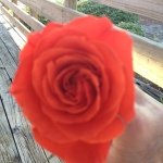 Diane Barfield - @diane_b_ - Instagram