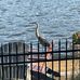 Diane Barfield - Facebook
