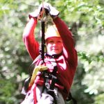 Diane Forte Barfield - @dianefbarfield - Instagram