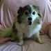 Diann Barfield - Facebook