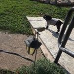 Dianne Barfield - @diannebarfield - Instagram