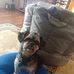 Diane Barnhill - Facebook