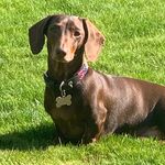 Diane Bartholomew - @bartholomew126 - Instagram