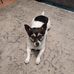 Diane Bateman - Facebook