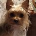 Diane Bateman - Facebook