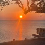 Diane Haight Bateman - @dianebateman - Instagram