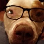 Diane Beasley - @diane.beasley.123 - Instagram
