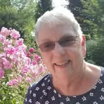Diane Beecher - @diane.beecher42 - Instagram