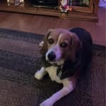 Diane Elizabeth Buffington Benedict - @buff7152 - Instagram