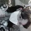 dianejanebenedict - @dianejanebenedict - TikTok