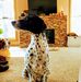 Diane Benson - Facebook