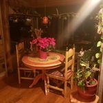 Diane Benson mcQuinn - @dianebenson567 - Instagram