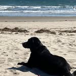 Diane Bergeron Bennett - @dianebergeronbennett - Instagram