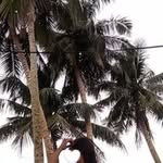 Diane Beron - @diane_beron - Instagram