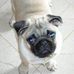 Diane Beyer - Facebook