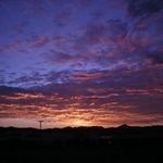 Diane Walcott Beyer - @djbeyer11 - Instagram