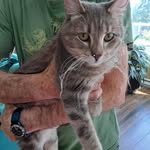 @bianchini_diane - Instagram