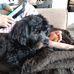 Diane Bilodeau - Facebook