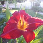Diane Bilodeau - @diane.bilodeau.96 - Instagram