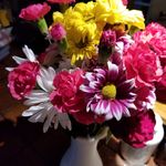 Diane Bilodeau - @bilodeau0821 - Instagram