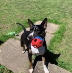 Diane Blackwell - Facebook