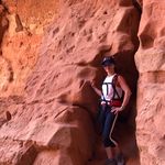 Diane Blank - @idweissmanblank - Instagram
