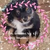 dianeblankboles - @dianeblankboles - TikTok