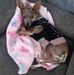 Diane Blanton - Facebook