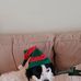 Diane Horgan Blanton - Facebook