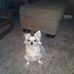 Diane Bledsoe - Facebook