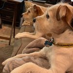 Diane Bledsoe - @dmbledsoe - Instagram