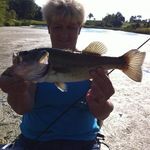 Diane Bledsoe - @diane.bledsoe.399 - Instagram