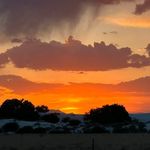 Diane Bledsoe Hooven - @dhooven1 - Instagram