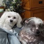 Diane Hillman Bledsoe - @gedh5157 - Instagram